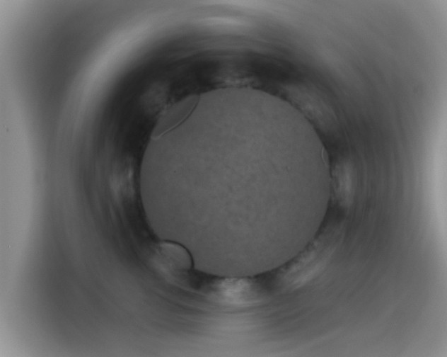 X0000115290762200911090952