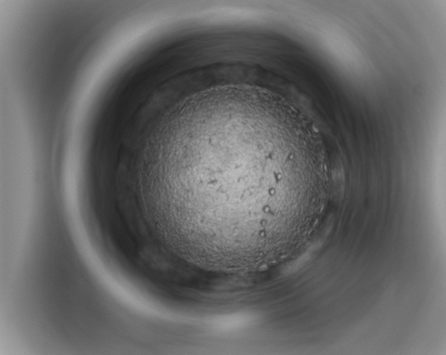 X0000115290765200911090952