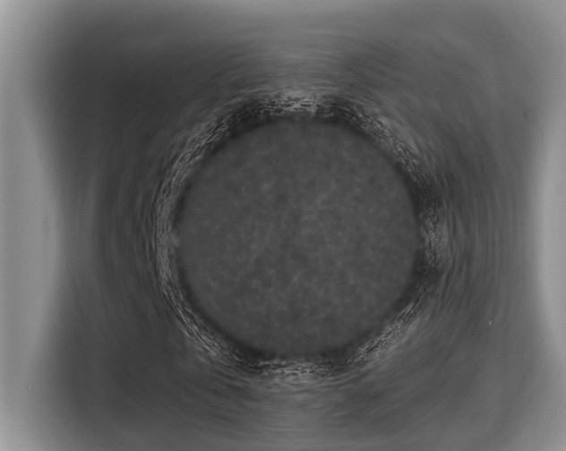 X0000115290769200911090951