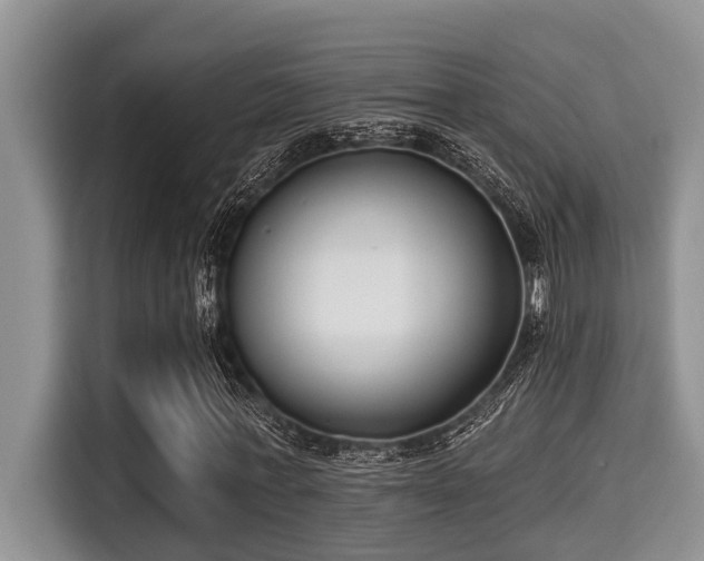 X0000115290771200911090951