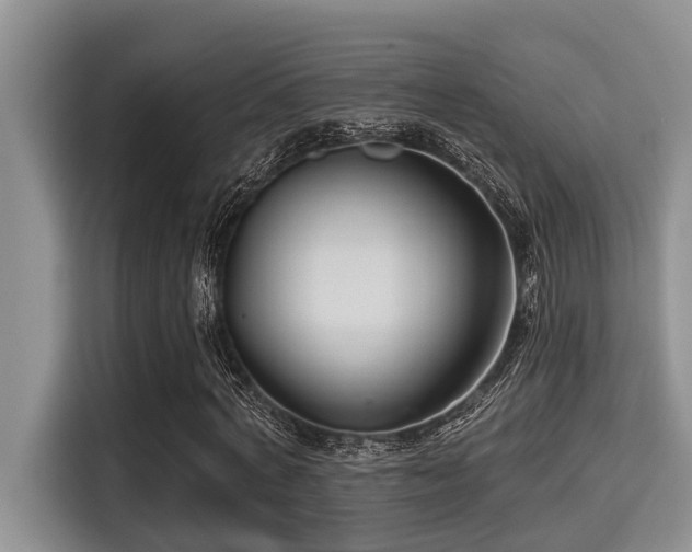 X0000115290772200911090951