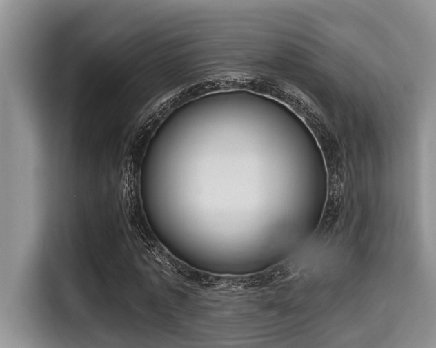X0000115290773200911090951
