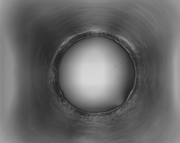 X0000115290776200911090951