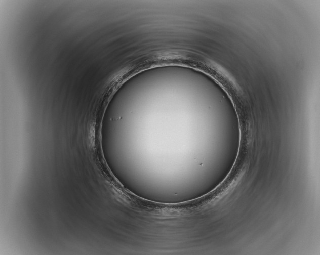 X0000115290777200911090951