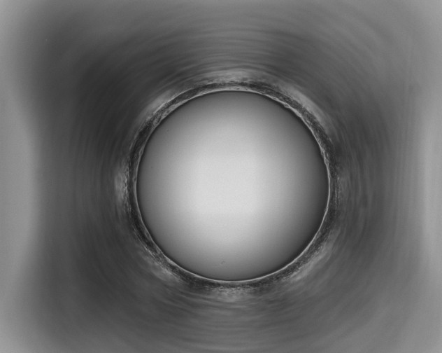 X0000115290778200911090951