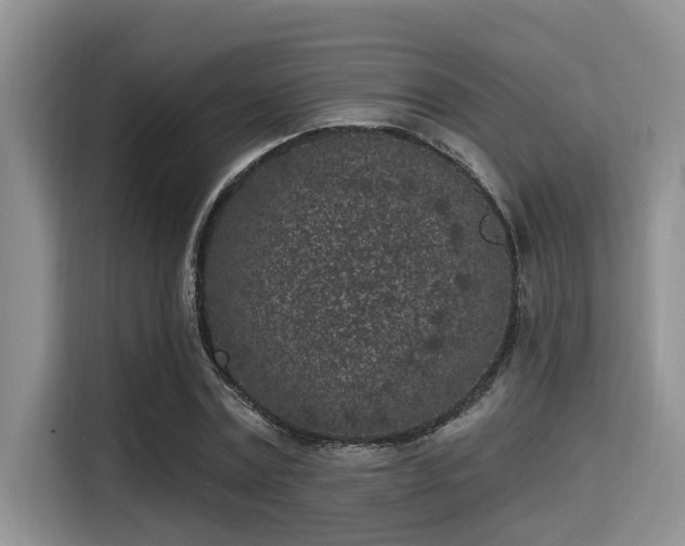 X0000115290779200911090951