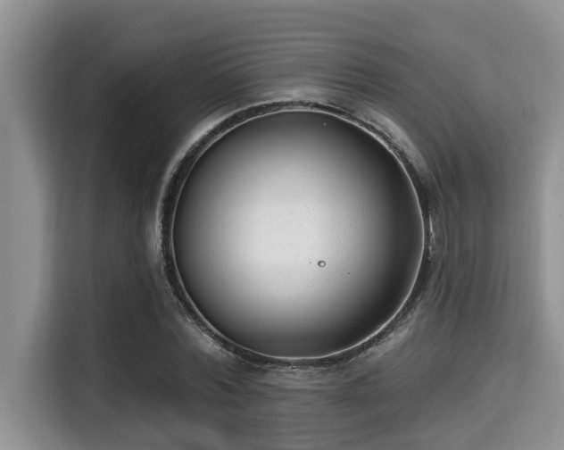 X0000115290780200911090951