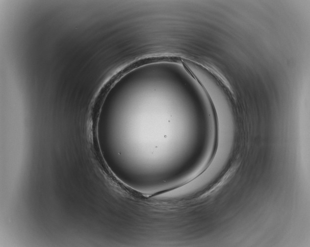 X0000115290781200911090951
