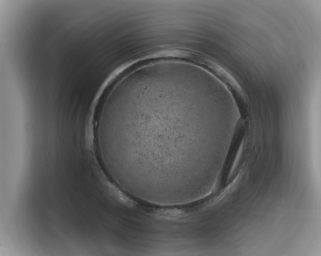 X0000115290784200911090951