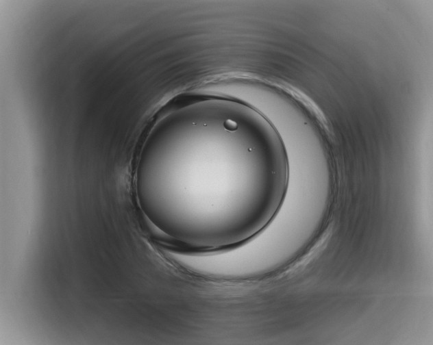 X0000115290785200911090951