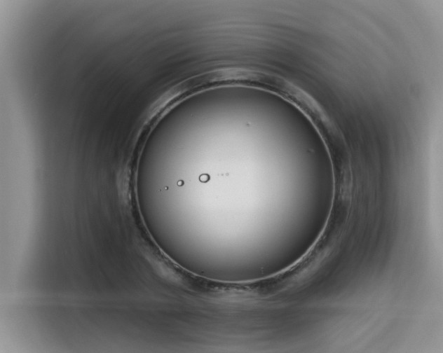 X0000115290786200911090951