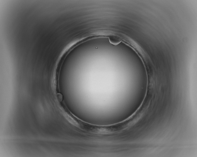 X0000115290787200911090951