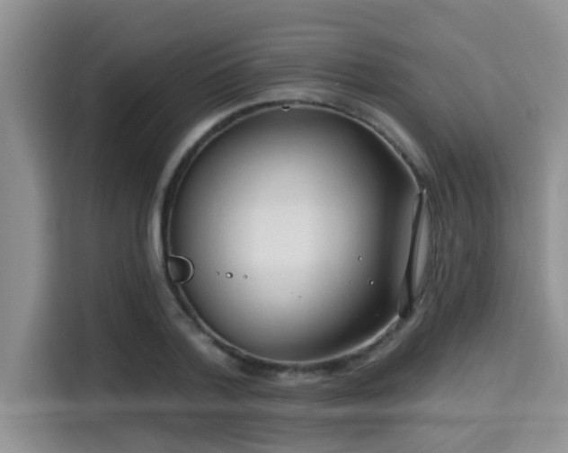 X0000115290788200911090951