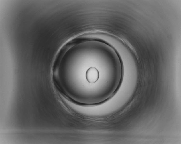 X0000115290789200911090951