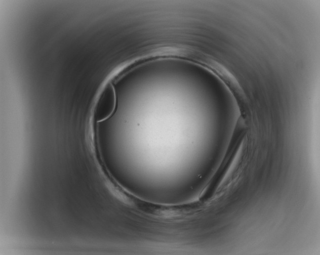X0000115290792200911090951