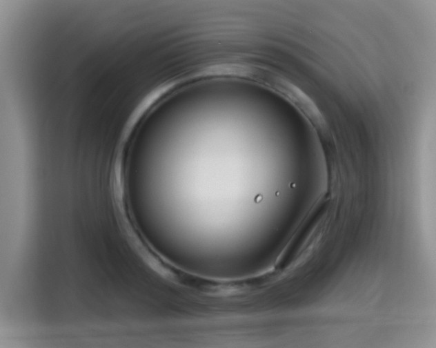 X0000115290796200911090951