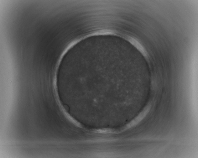 X0000115290797200911090951