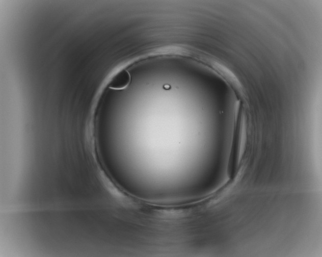 X0000115290800200911090951