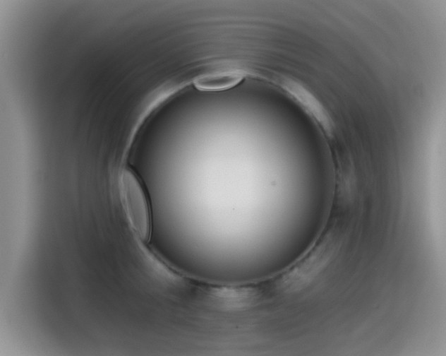 X0000115290805200911090951