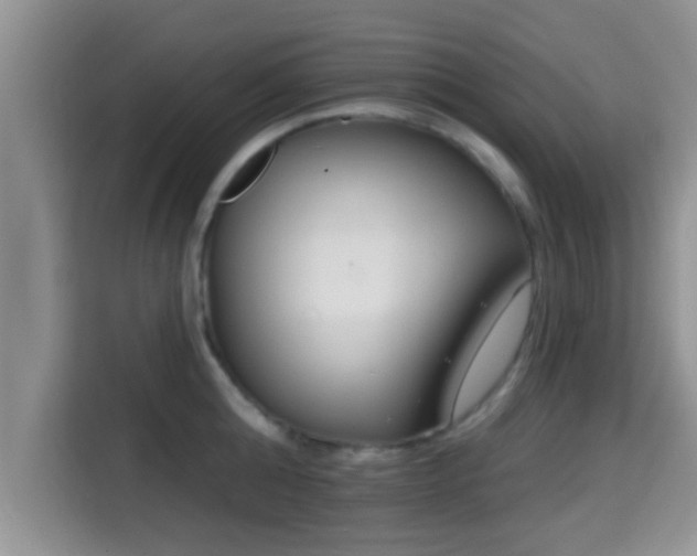 X0000115290808200911090951