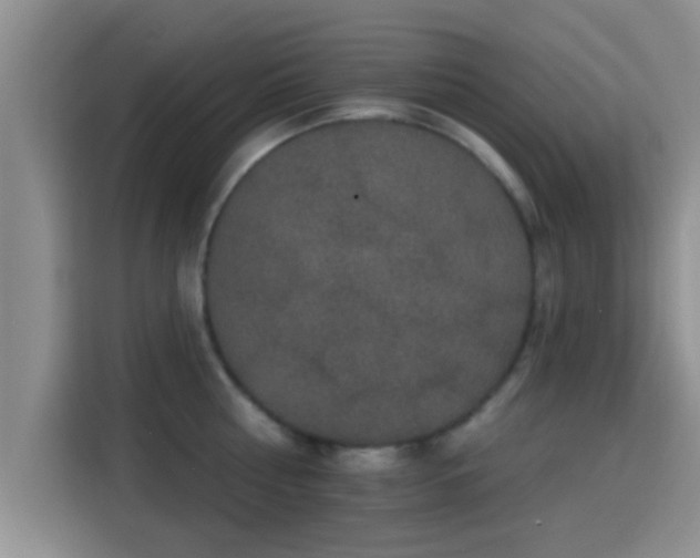 X0000115290810200911090951