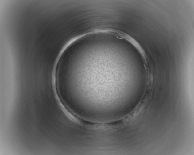 X0000115290811200911090951