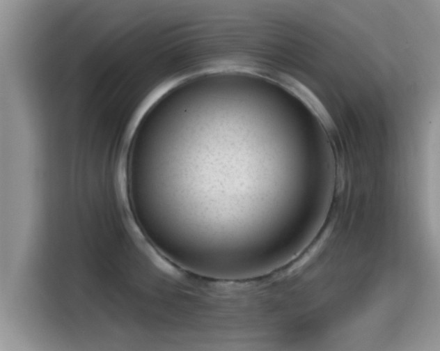 X0000115290812200911090951