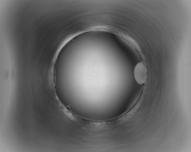 X0000115290816200911090950