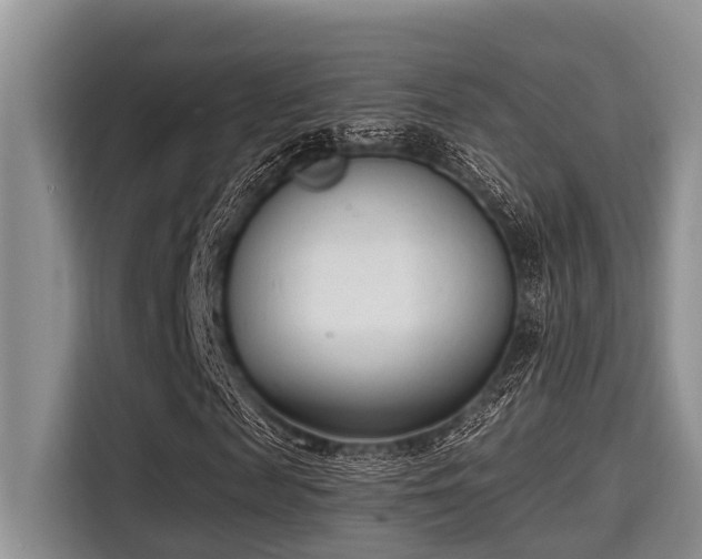 X0000115290817200911090950