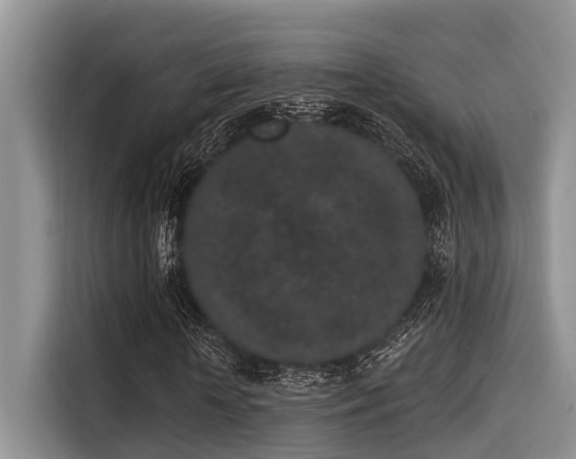 X0000115290818200911090950