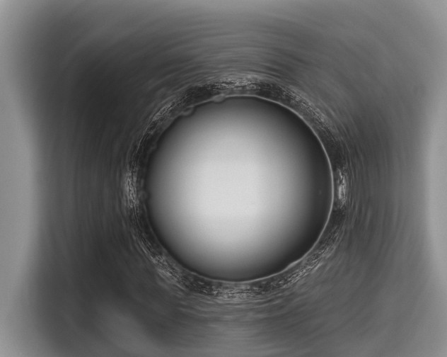 X0000115290819200911090950