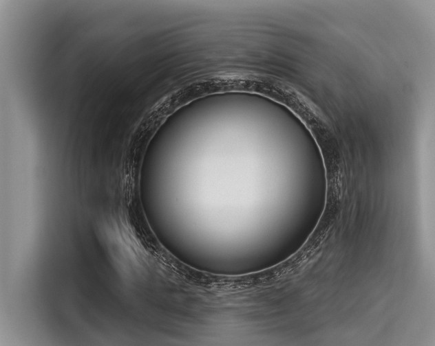 X0000115290821200911090950