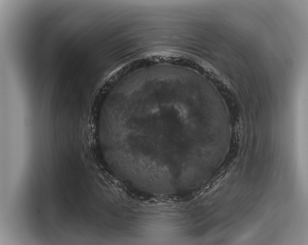 X0000115290822200911090950