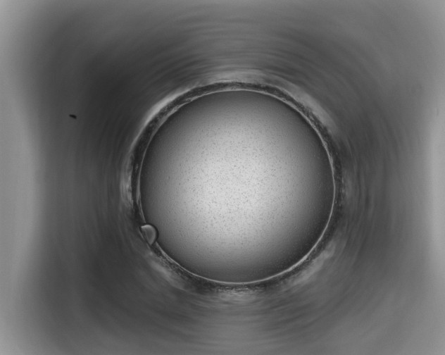 X0000115290830200911090950
