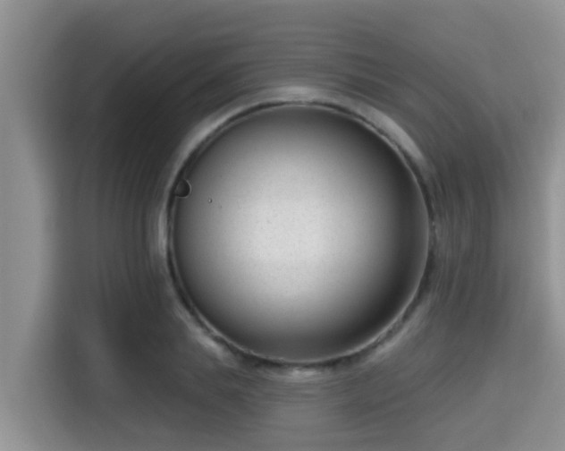 X0000115290839200911090950