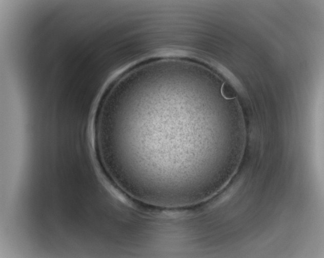 X0000115290840200911090950