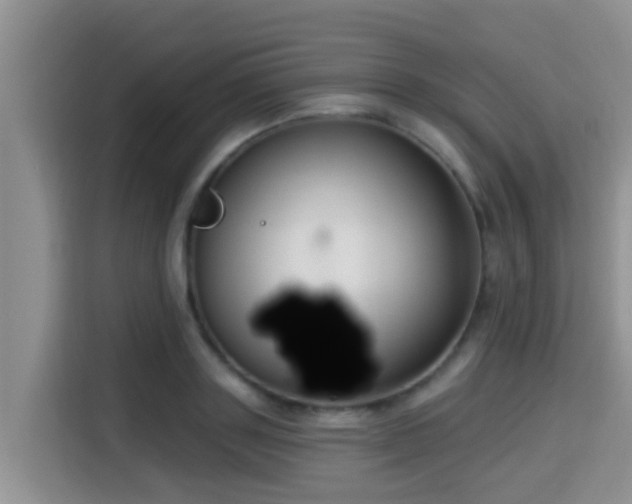 X0000115290843200911090950