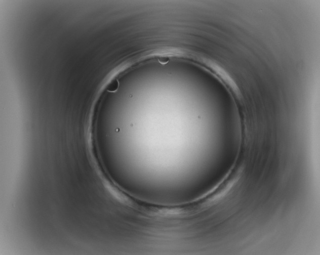 X0000115290845200911090950