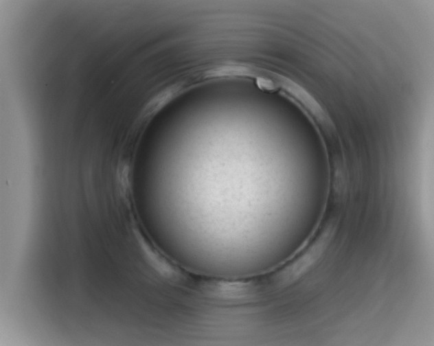 X0000115290849200911090950