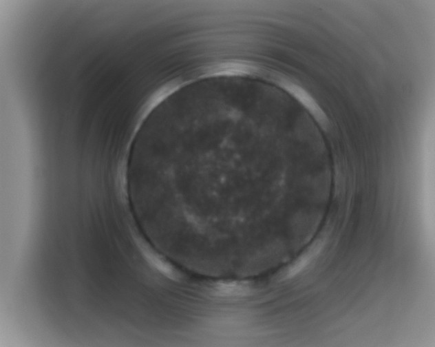X0000115290850200911090950