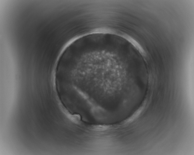 X0000115290854200911090950