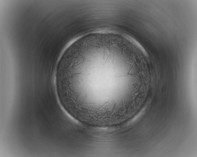 X0000115290855200911090950