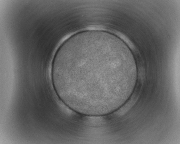 X0000115290856200911090950