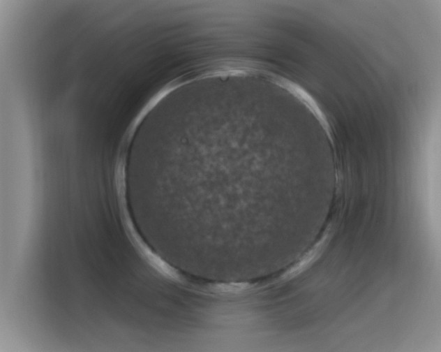 X0000115290859200911090950