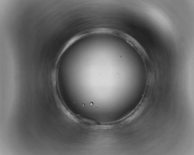 X0000115290860200911090950