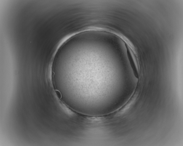 X0000115290862200911090950