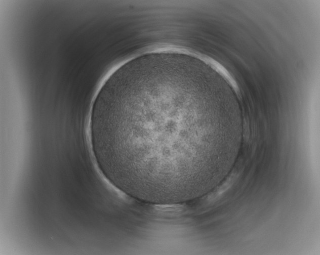 X0000115290863200911090950