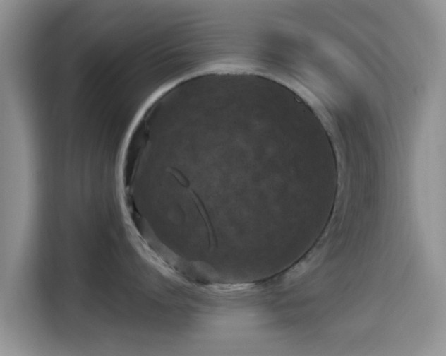 X0000115290864200911090950