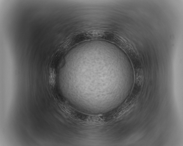 X0000115290866200911090950