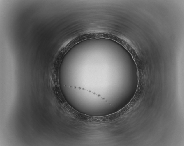 X0000115290871200911090950